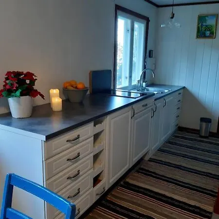 Koselig Blatt Hus - Utsikt Losna Tatil Evi